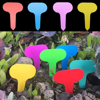 50PCS Цветни растителни маркери Градински бонсай сочни сеитби Tags Знак PVC градинарство етикети Заложете на пръчици за боя за почва