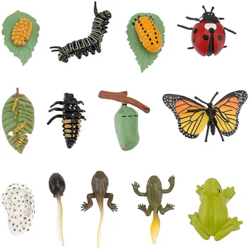 3 комплекта фигурки на насекоми жизнен цикъл на пеперуда калинка сафариология цикъл на растеж модел образователна играчка