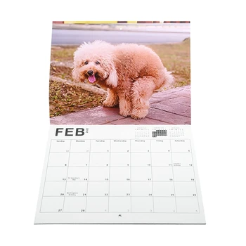 2022 Календар - Акане на кучета Стенен календар, забавни календарни подаръци, перфектен календар за 2022 г. Подаръци за бели слонове Забавно