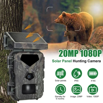 Mini700 Слънчева ловна камера Инфрачервено нощно виждане 20MP / 1080P 0.3s Време за задействане Наблюдение на дивата природа Камера за наблюдение на капани